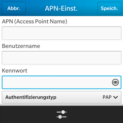 BlackBerry Q5 - Internet - Manuelle Konfiguration - 10 / 22