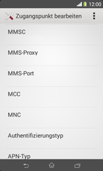Sony Xperia E1 - Internet - Apn-Einstellungen - 13 / 21