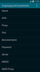 Samsung Galaxy S5 Mini - Internet - Apn-Einstellungen - 9 / 28