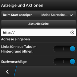 BlackBerry Q5 - Internet - Manuelle Konfiguration - 20 / 22