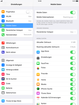 Apple iPad mini 2 - Internet - Manuelle Konfiguration - 4 / 19
