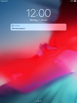 Apple iPad Air 2 - Internet - Manuelle Konfiguration - 16 / 18