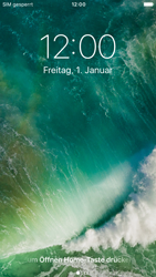 Apple iPhone 6s - Internet - Apn-Einstellungen - 14 / 20