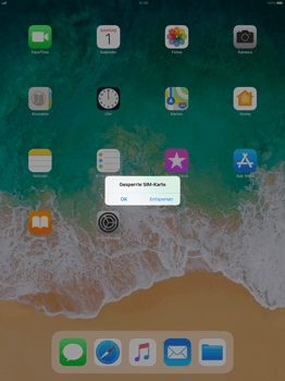 Apple iPad Pro 12.9 inch - Internet - Manuelle Konfiguration - 1 / 1