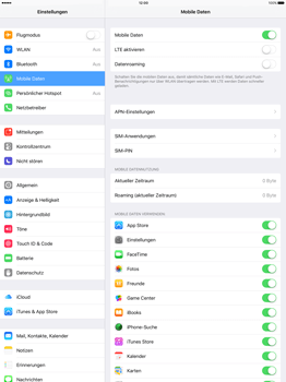 Apple iPad Pro 12.9 inch - Internet - Manuelle Konfiguration - 1 / 1