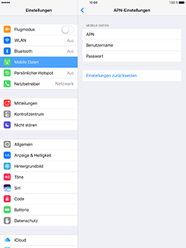 Apple iPad 4 - Internet - Apn-Einstellungen - 6 / 19