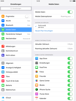 Apple iPad Pro 9.7 inch - Internet - Apn-Einstellungen - 0 / 0