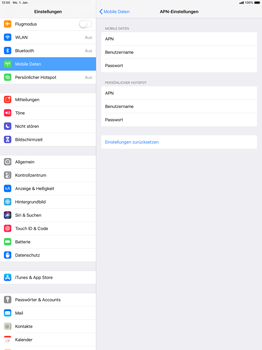 Apple iPad Pro 12.9 inch - Internet - Apn-Einstellungen - 10 / 18
