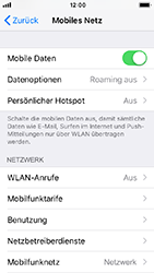 Apple iPhone SE - Internet - Apn-Einstellungen - 4 / 17