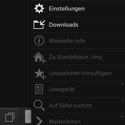 BlackBerry Q10 - Internet - Manuelle Konfiguration - 15 / 21