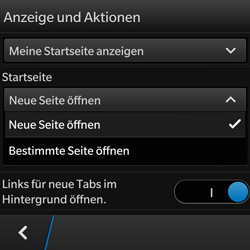BlackBerry Q10 - Internet - Manuelle Konfiguration - 18 / 21