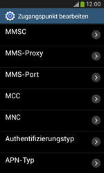 Samsung Galaxy Core Plus - Internet - Apn-Einstellungen - 13 / 29