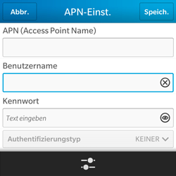 BlackBerry Q5 - Internet - Manuelle Konfiguration - 9 / 22