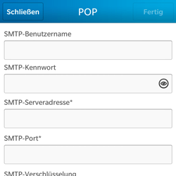 BlackBerry Q5 - E-Mail - Konto einrichten - 2 / 2