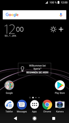 Sony Xperia XZ1 Compact - Lösung finden - Display - 1 / 7
