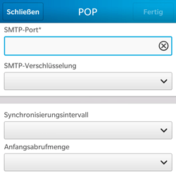 BlackBerry Q5 - E-Mail - Konto einrichten - 1 / 1