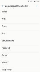 Samsung Galaxy A3 (2017) - Internet - Apn-Einstellungen - 12 / 38