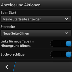 BlackBerry Q10 - Internet - Manuelle Konfiguration - 17 / 21