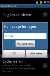 Samsung Galaxy Xcover - Internet - Manuelle Konfiguration - 21 / 23