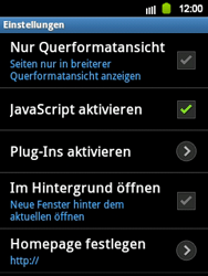 Samsung Galaxy Y - Internet - Apn-Einstellungen - 14 / 17