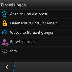 BlackBerry Q10 - Internet - Manuelle Konfiguration - 16 / 21