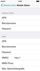 Apple iPhone 5s - Internet - Apn-Einstellungen - 7 / 10
